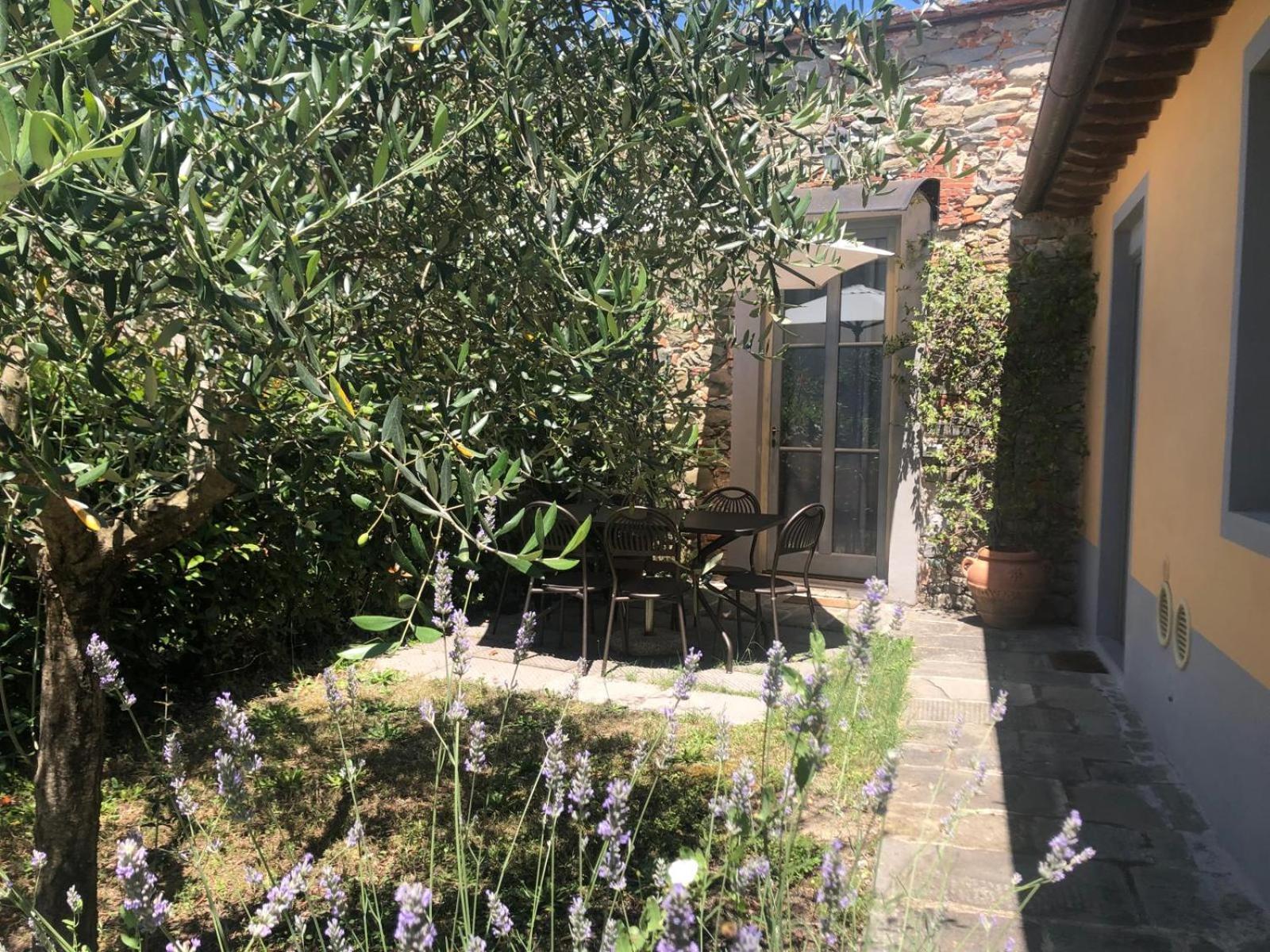 Tenuta Guinigi Antico Borgo Di Matraia - Exclusive Holidays Apartments & Pool Lucca Ngoại thất bức ảnh